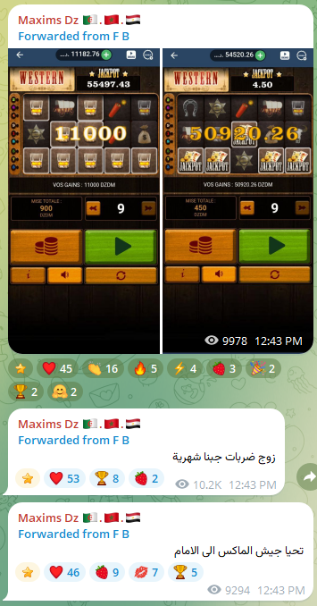 Telegram screenshot 3